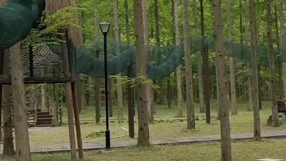 huang hai sen lin sheng tai lv you du jia qu - mi wu sen lin