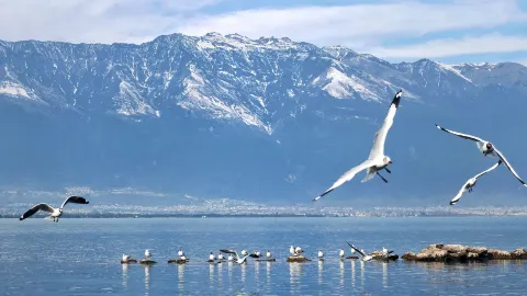 Dali City travel destination