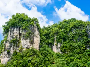 長陽トゥチャ族自治県の人気紅葉の名所