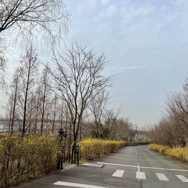난지한강공원