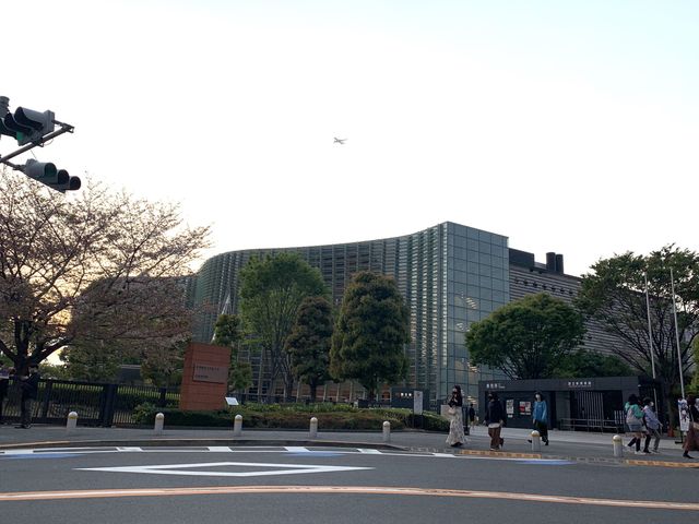 【東京】オシャレすぎる国立新美術館