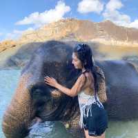 เล่นน้องช้าง ที่ภูเก็ต 