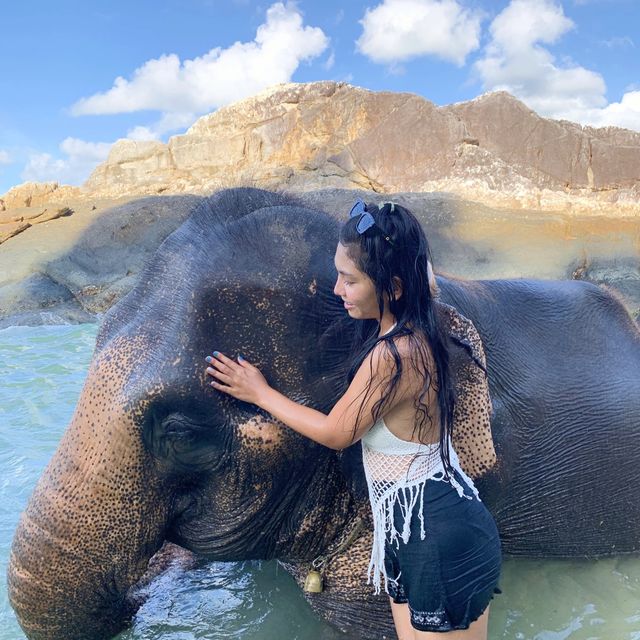 เล่นน้องช้าง ที่ภูเก็ต 