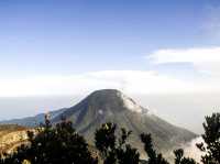 Hiking the Pangrango Mountain