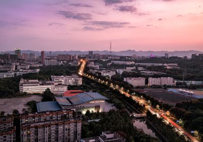 China Three Gorges University (Daxue Road)