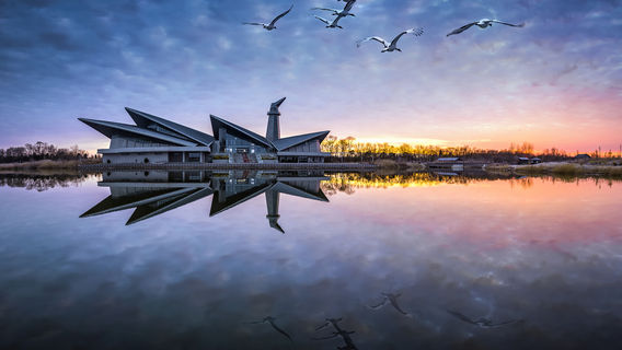 Red-Crowned Crane Wetland Ecological Tourism Area