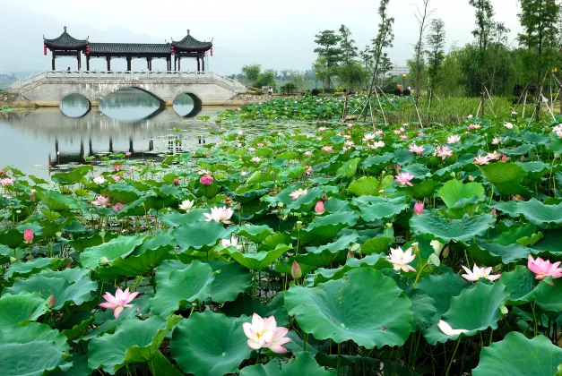 Huizhou Longmen Nankunshan Shufuli Pool and Hot Spring Party Villa