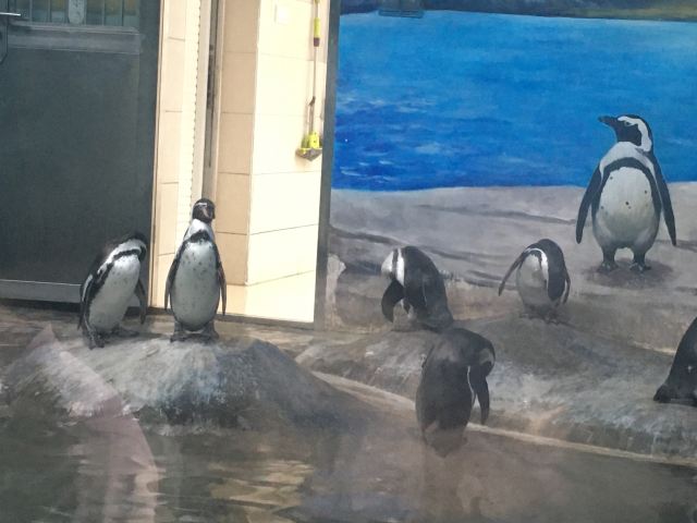 武漢動物園