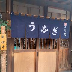 Ogakiku User Photo