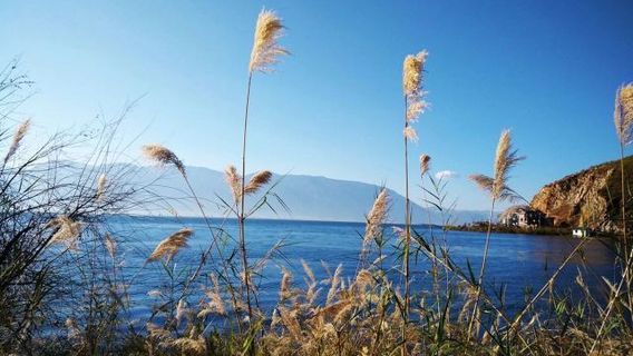 Fengminghu Ecological Garden