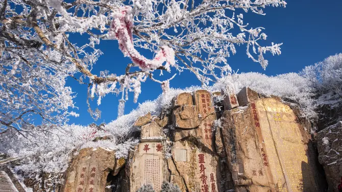 秦泰山刻石