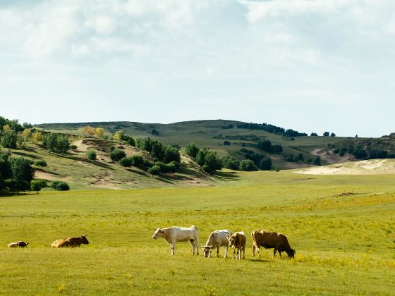 Hexigten Prairie