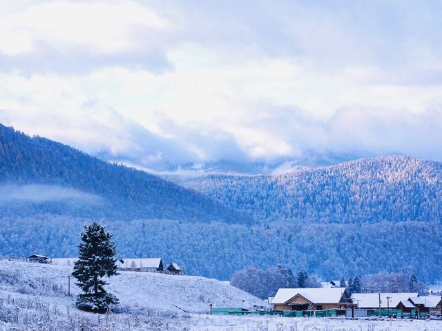 新疆阿勒泰山區的禾木村，早早進入冬季，三國交界地美不勝收！