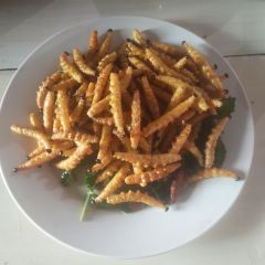 哈彝源农庄 User Photo