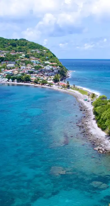 Pet Friendly Hotels in Dominica