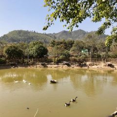 東江大院張用戶圖片