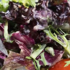 Peking Garden User Photo