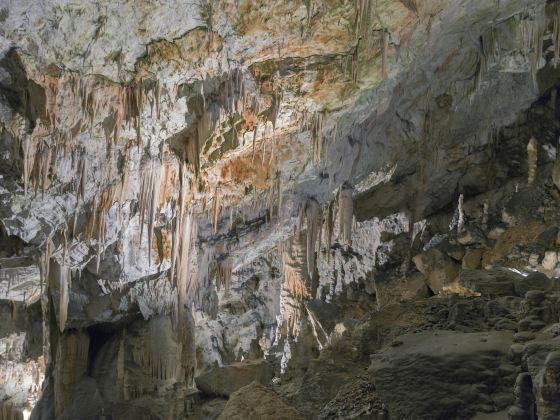 Postojnska Caves