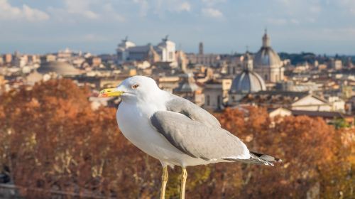 Castel Sant'Angelo