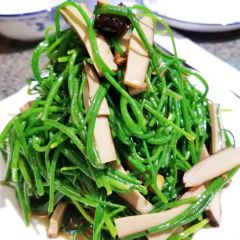 PENG XIN LAMB NATIONAL User Photo