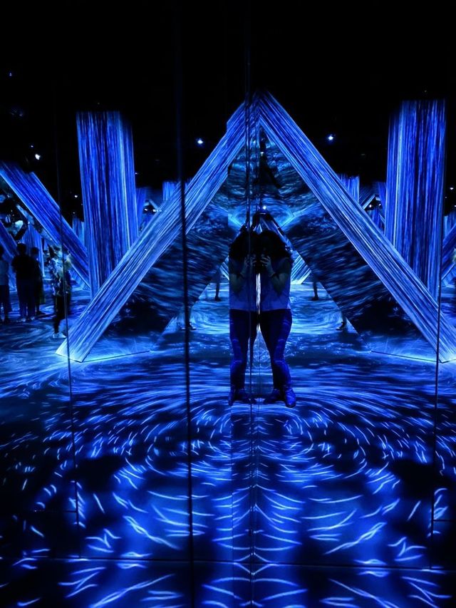 TeamLab Borderless- Transcending Artwork