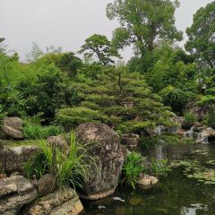 Yue Chinese Restaurant User Photo