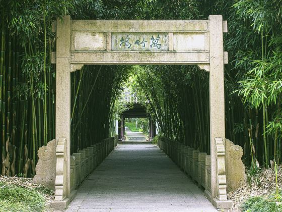 Bamboo Garden