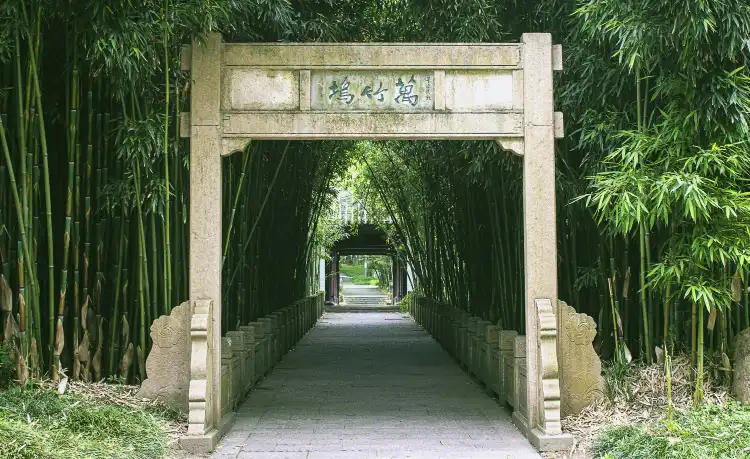 Hotels near Bamboo Garden