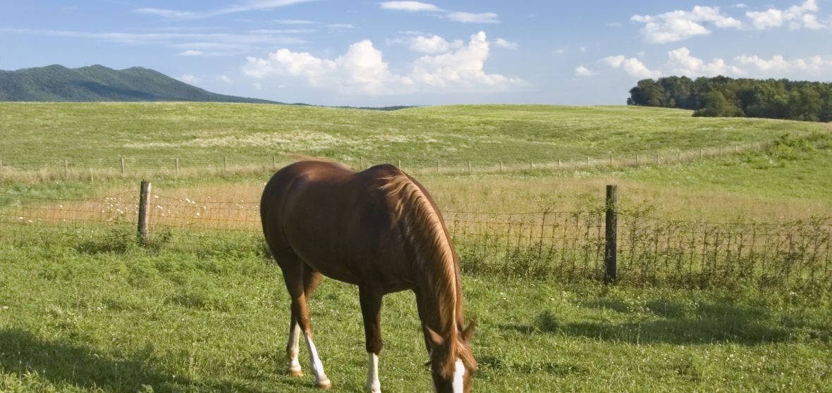 Harrisonburg Travel Guide 2026: Top Attractions, Things to do ...