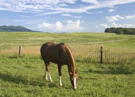 Hotels near Eastern Mennonite University