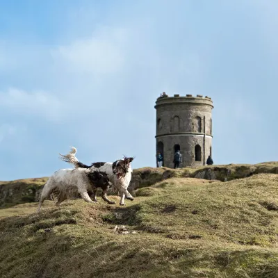 Hotels near Argos Buxton