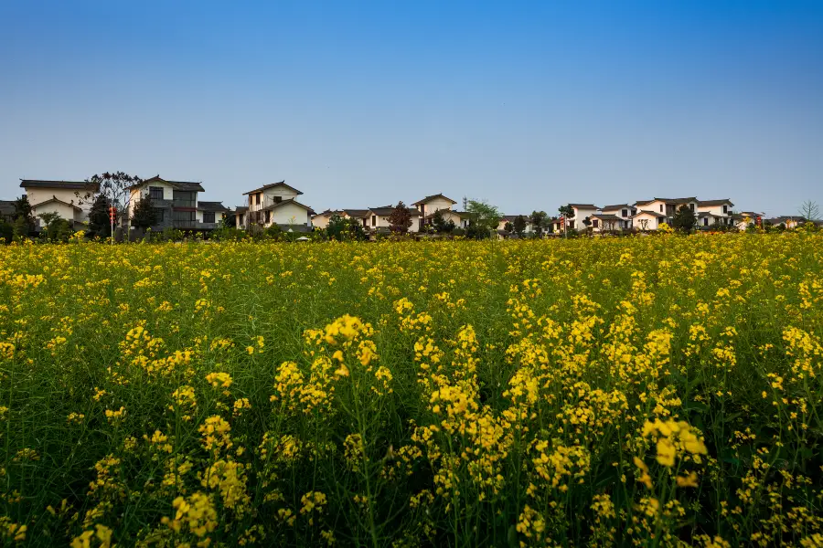 Wuxing Village