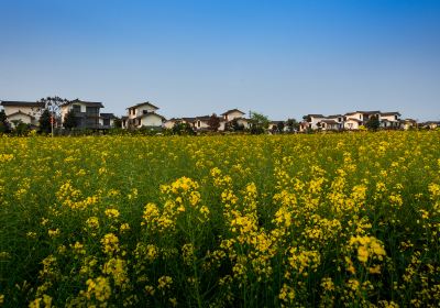 Wuxing Village