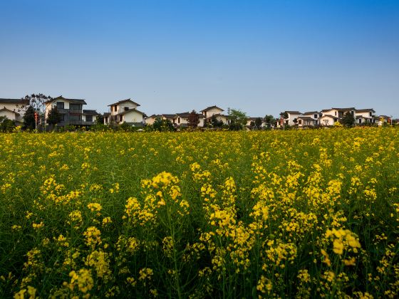 Wuxing Village