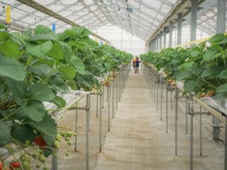 青山学院大学 相模原キャンパス近くの人気ホテル