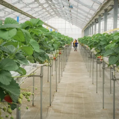 3-звездочные отели в г. Сагамихара