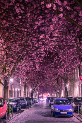 4-Star Hotels in Dortmund