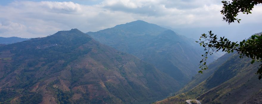 Ailao Mountain Scenic Resort