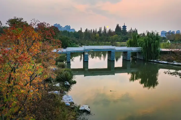 Hotels near Taohua Island Park