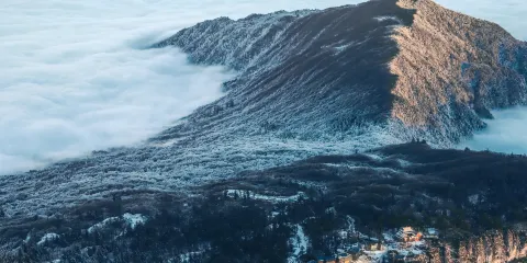峨眉山澗雲中花嶺