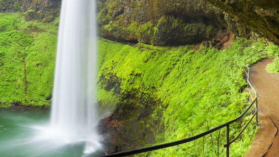 Silver Falls State Park