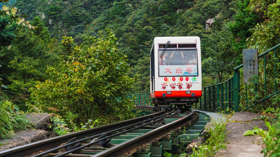Sandie Quan Cableway