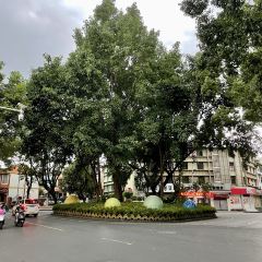 林氏圆子(东风店) User Photo