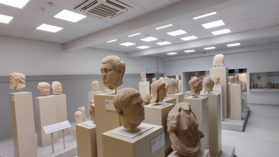 Archaeological Museum of Larnaka District