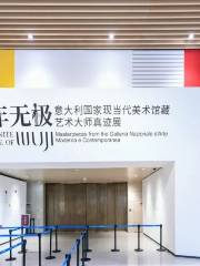 百年無極—意大利國家現當代美術館藏藝術大師真跡展