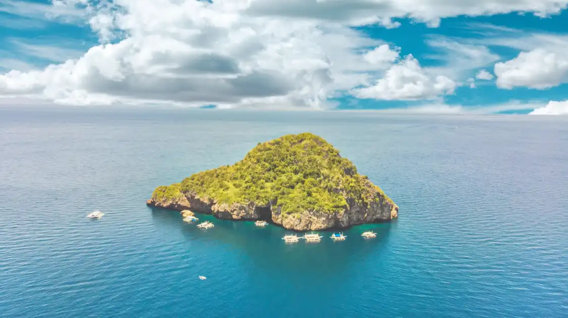 Hotel in zona Gato Island