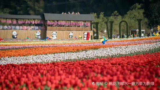 重慶玄天湖西郊玫瑰島