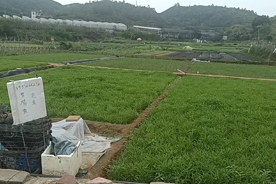 Caiboshi Ecology Farm