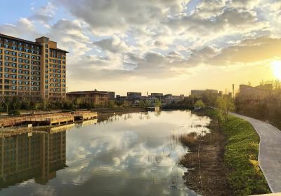 Taiyuan University of Technology New Campus