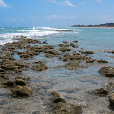 Embassy Suites by Hilton Orlando International Drive ICON Park